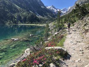 chalet, mobil home, location, cauterets, rhodondendron, lac de gaube, vignemale, oulettes, pyrénées, camping, camping cabaliros, pont despagne, gavanrie, parc national, esprit parc, vacances, neige, montagne, observation, animaux, faune sauvage, flore, randonnées, photo